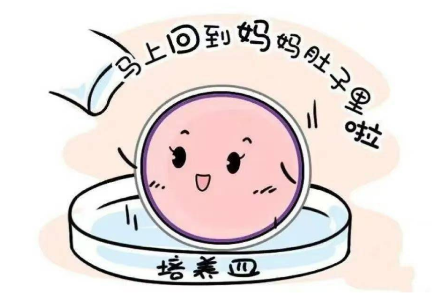 ͼƬ4