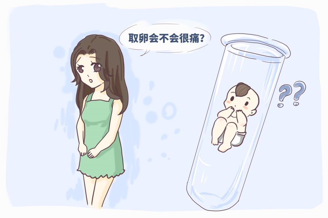 ԹܳɹʽΪʲôȫͥѡԲ